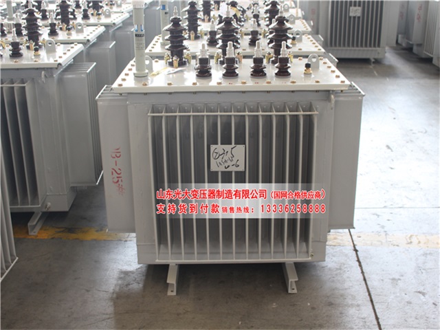 溧水S13-1250KVA油浸式变压器